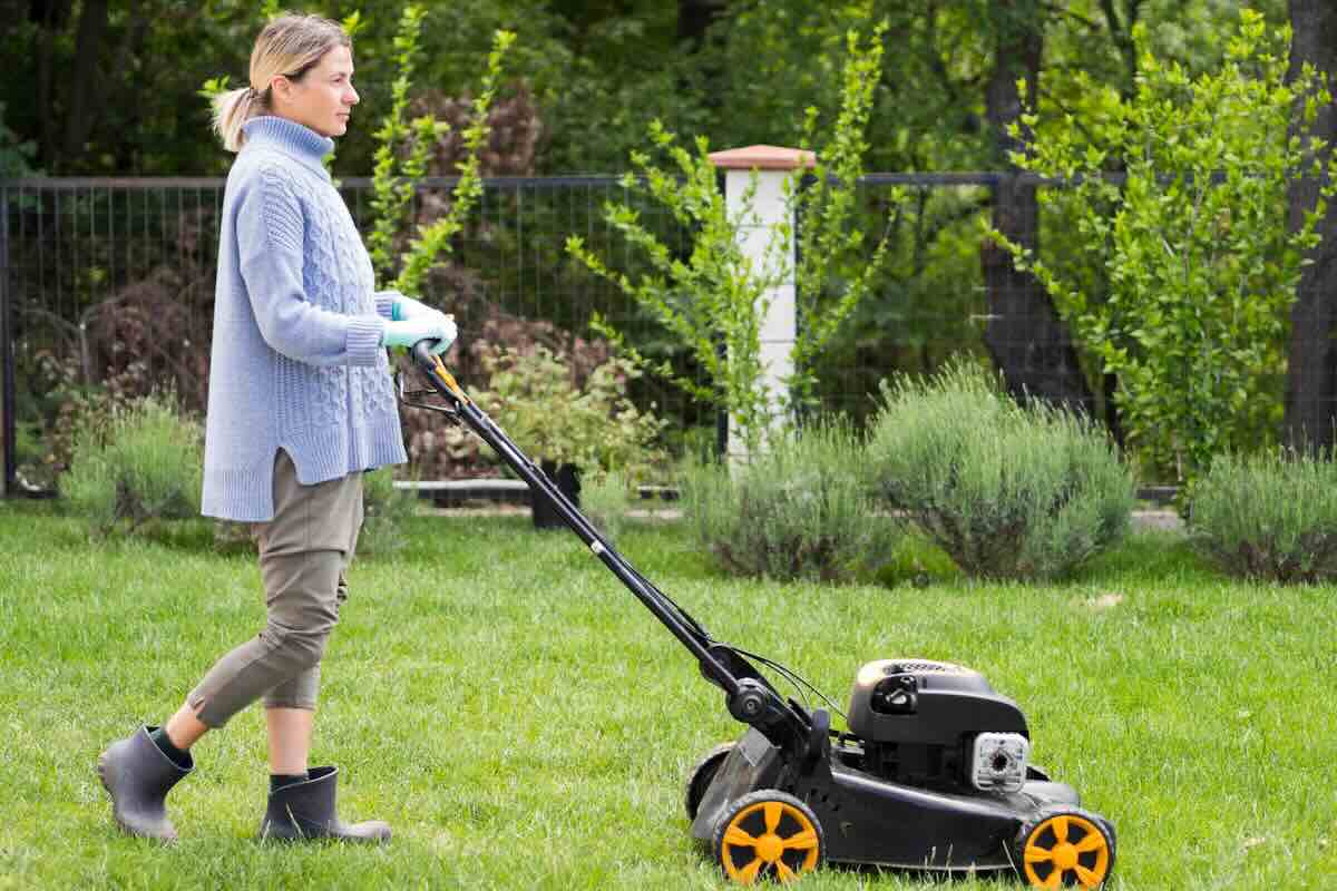 Jardin : moins de tonte, plus de biodiversité, cette nouvelle tendance va transformer votre extérieur