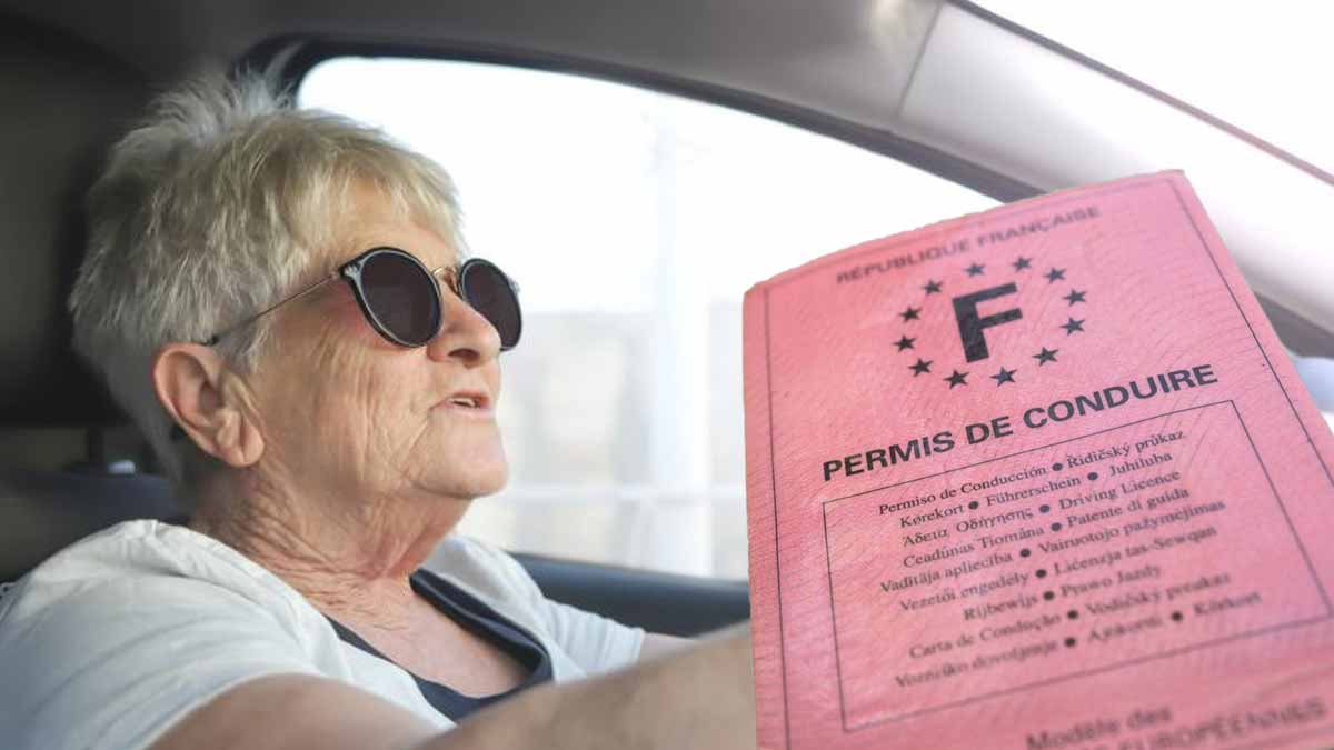 Permis de conduire