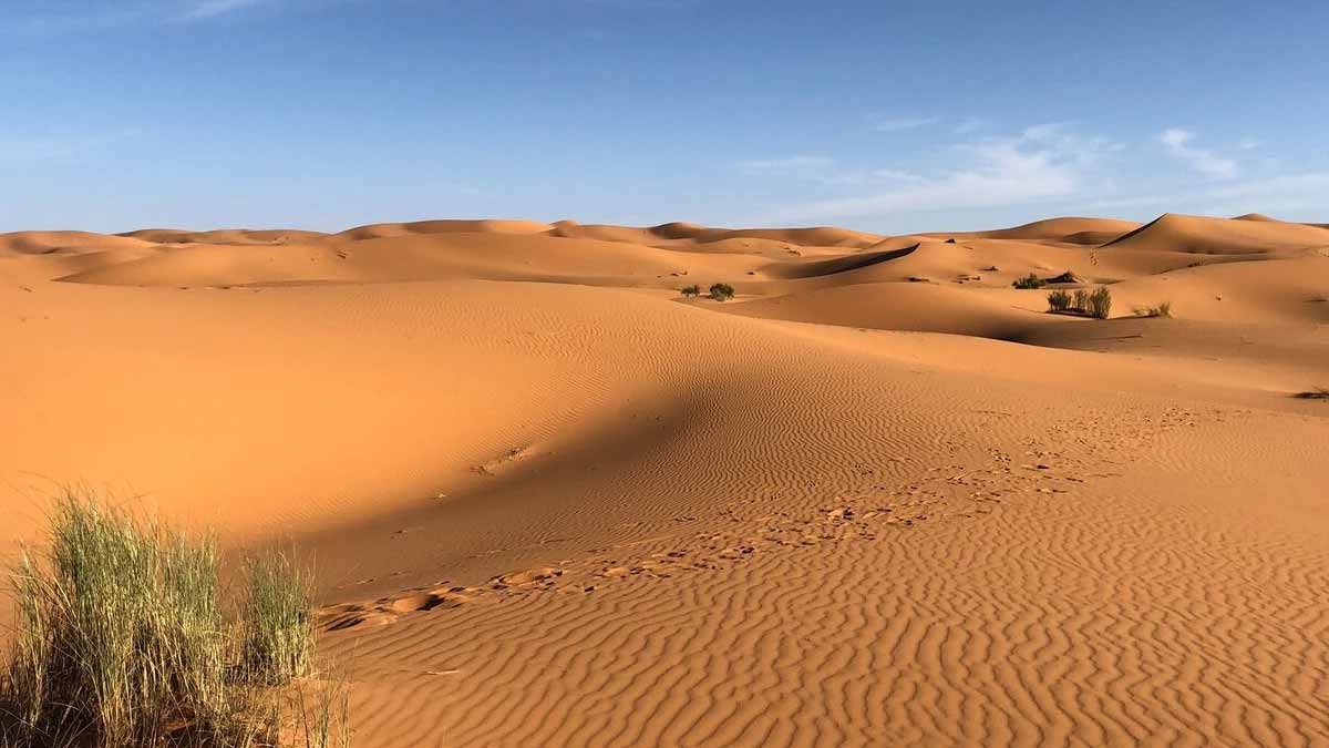 Sahara