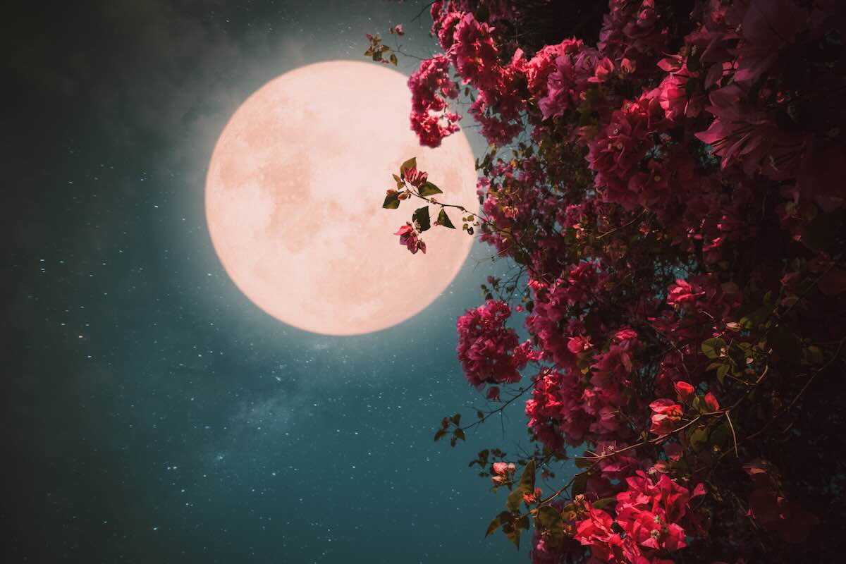 Pleine Lune des Fleurs (mai)