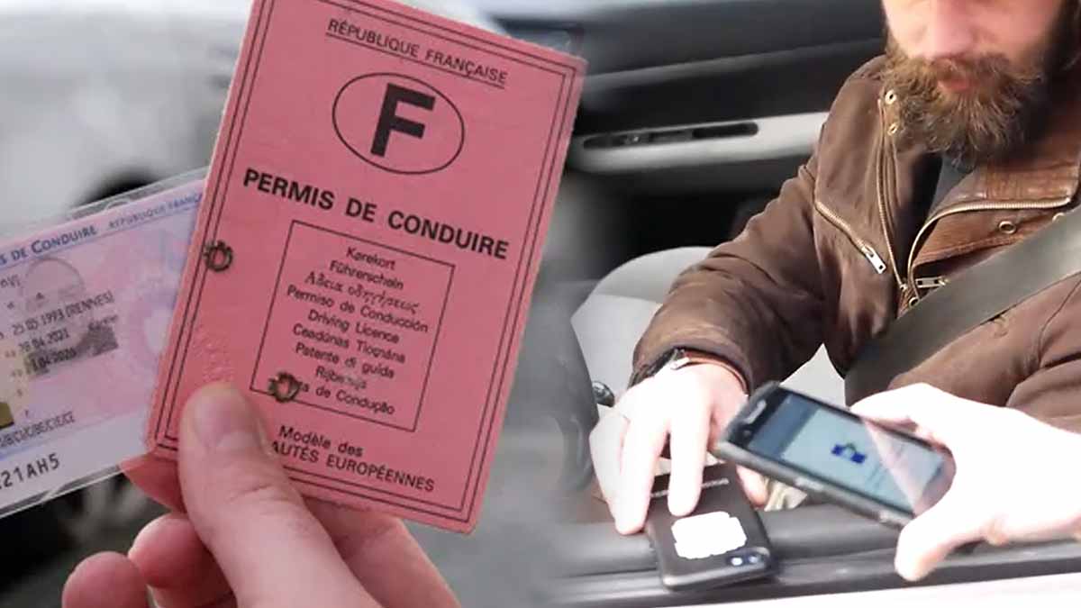 permis de conduire